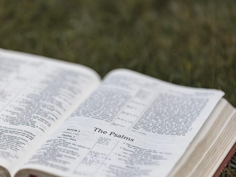A holy bible open to Psalms